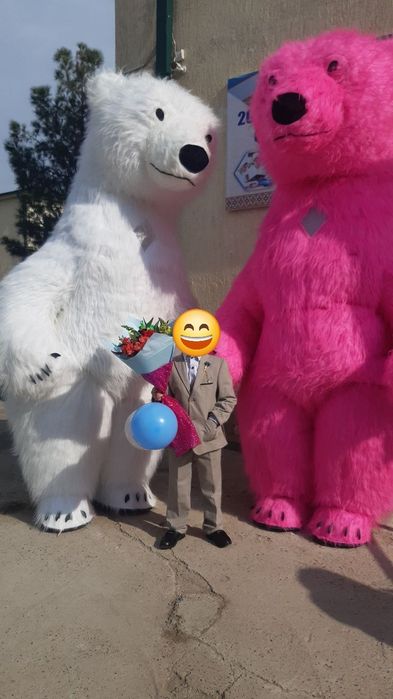 Teddy мишка, надувной мишка