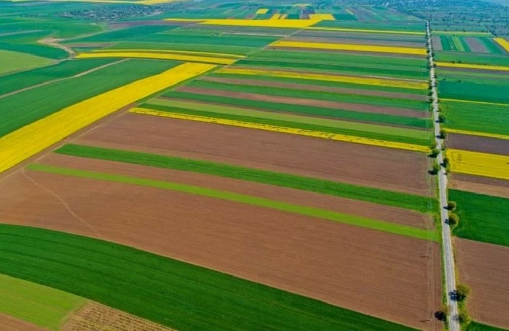 Teren arabil 3 Hectare