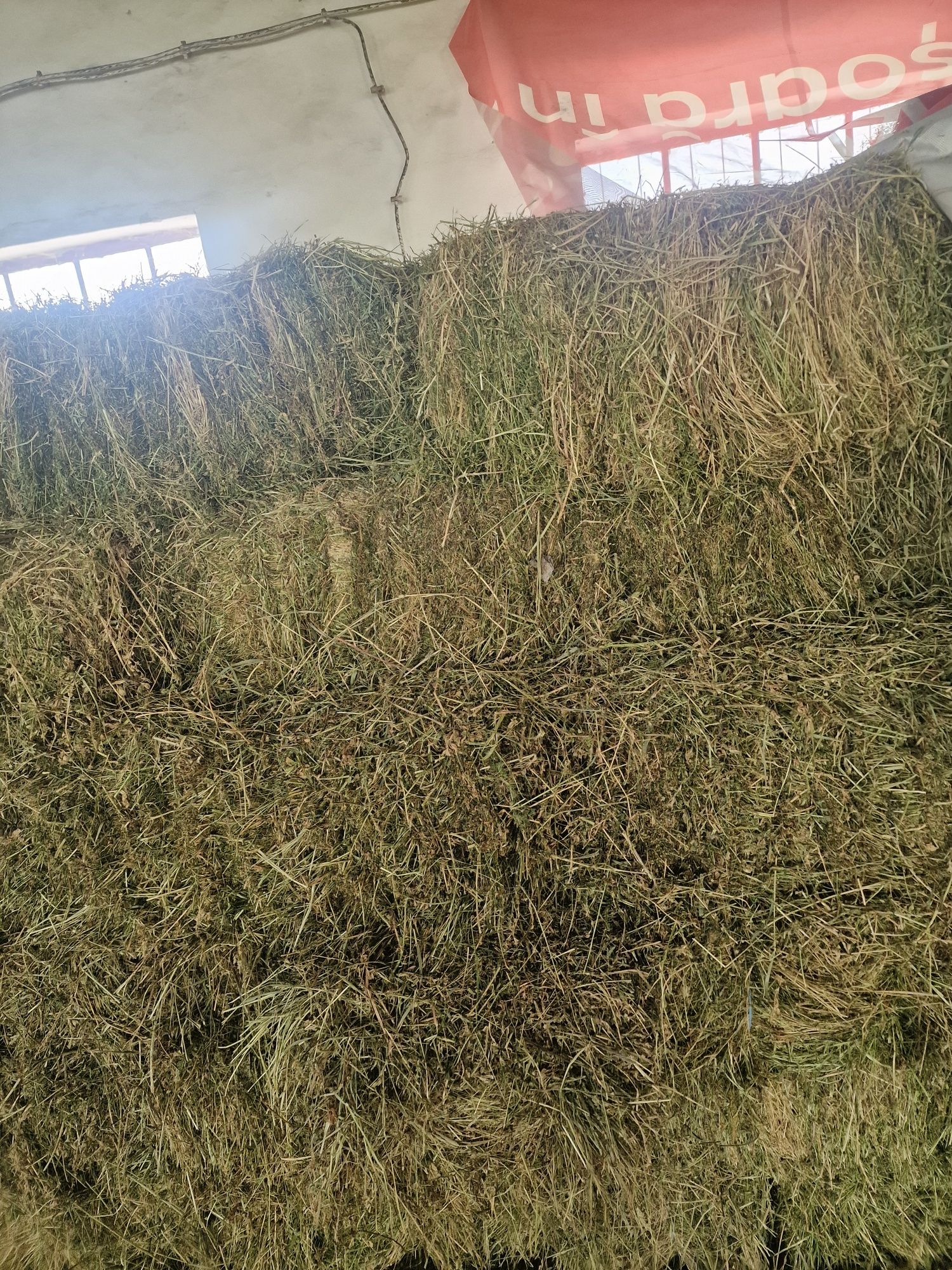Lucernă de Vânzare