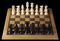 Обучение шахматам детей с выездом на дом.