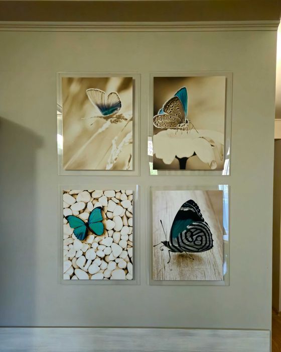 Разпродажба! Картини пеперуди