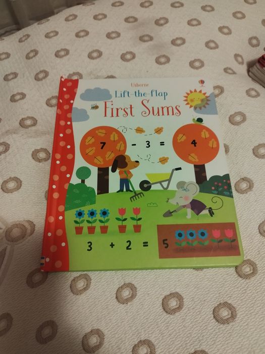 Carte Usborne - primele adunari