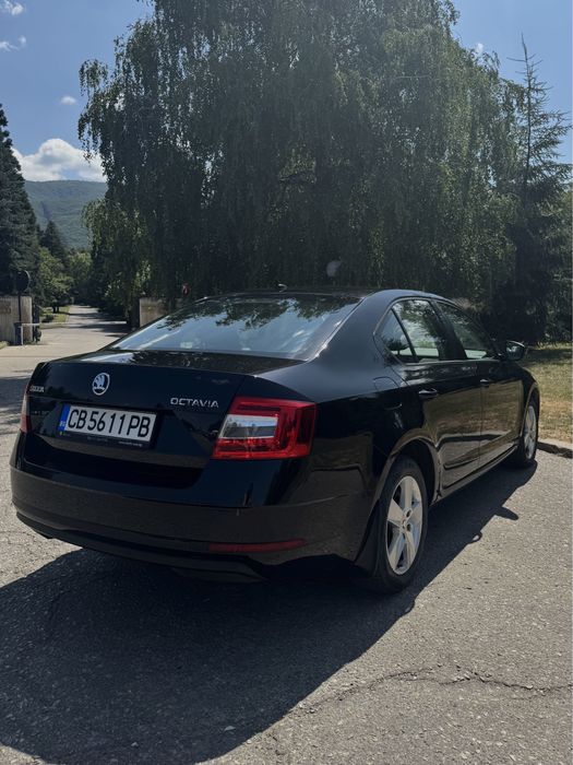Skoda Octavia 1.6 tdi 11.2019 много запазена