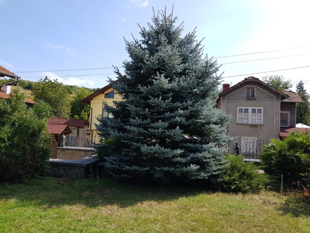Продавам хубав имот с.Казачево