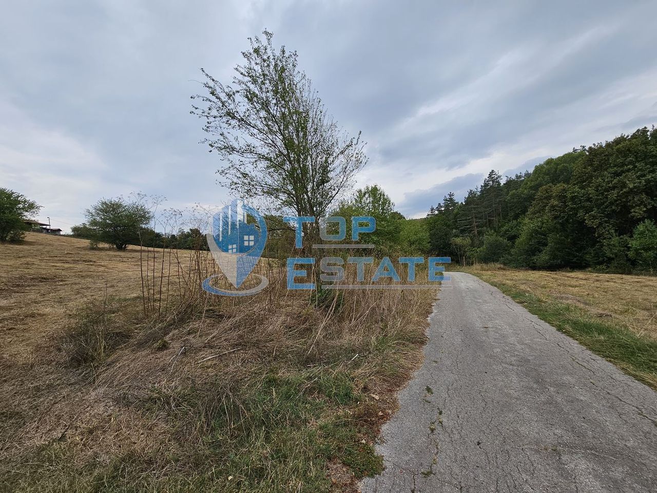 Продава се Парцел в Елена - 14900 кв.м за 3 €/кв.м - Снимка #3