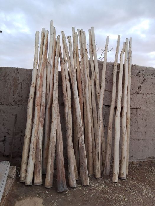 Шу тераклар сотилади