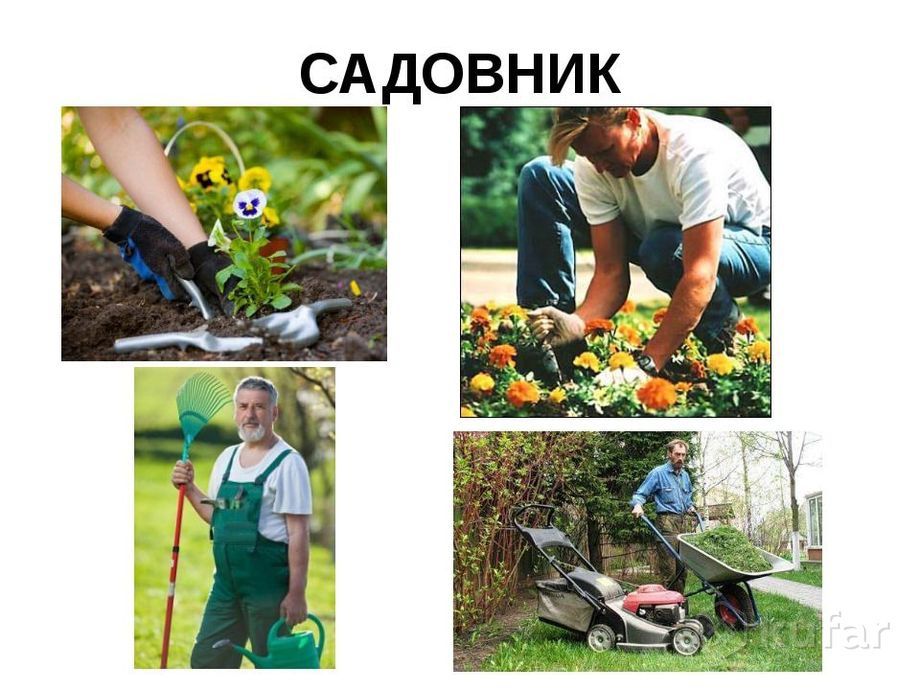 Садовник обрезка, стрижка деревьев уборка территорий.