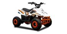 ATV Copii Germania Motor 125cc 4 Timpi Garantie 2 Ani Cutie Automata