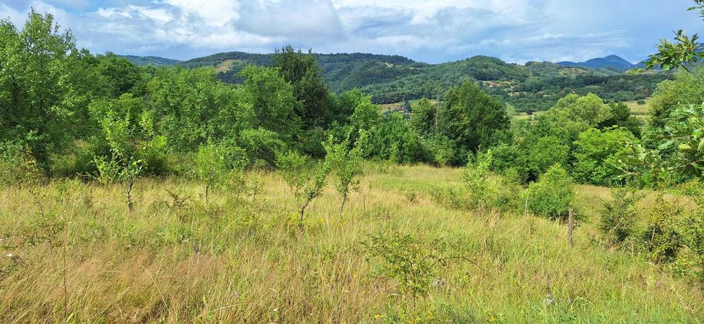 Teren pentru Casa de Vacanță
