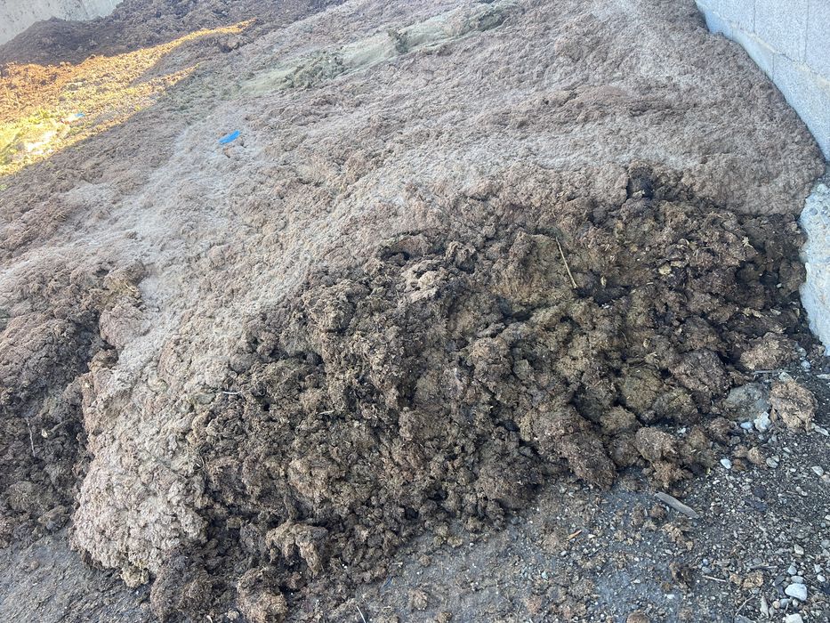 Навоз көң сиыр жылқы