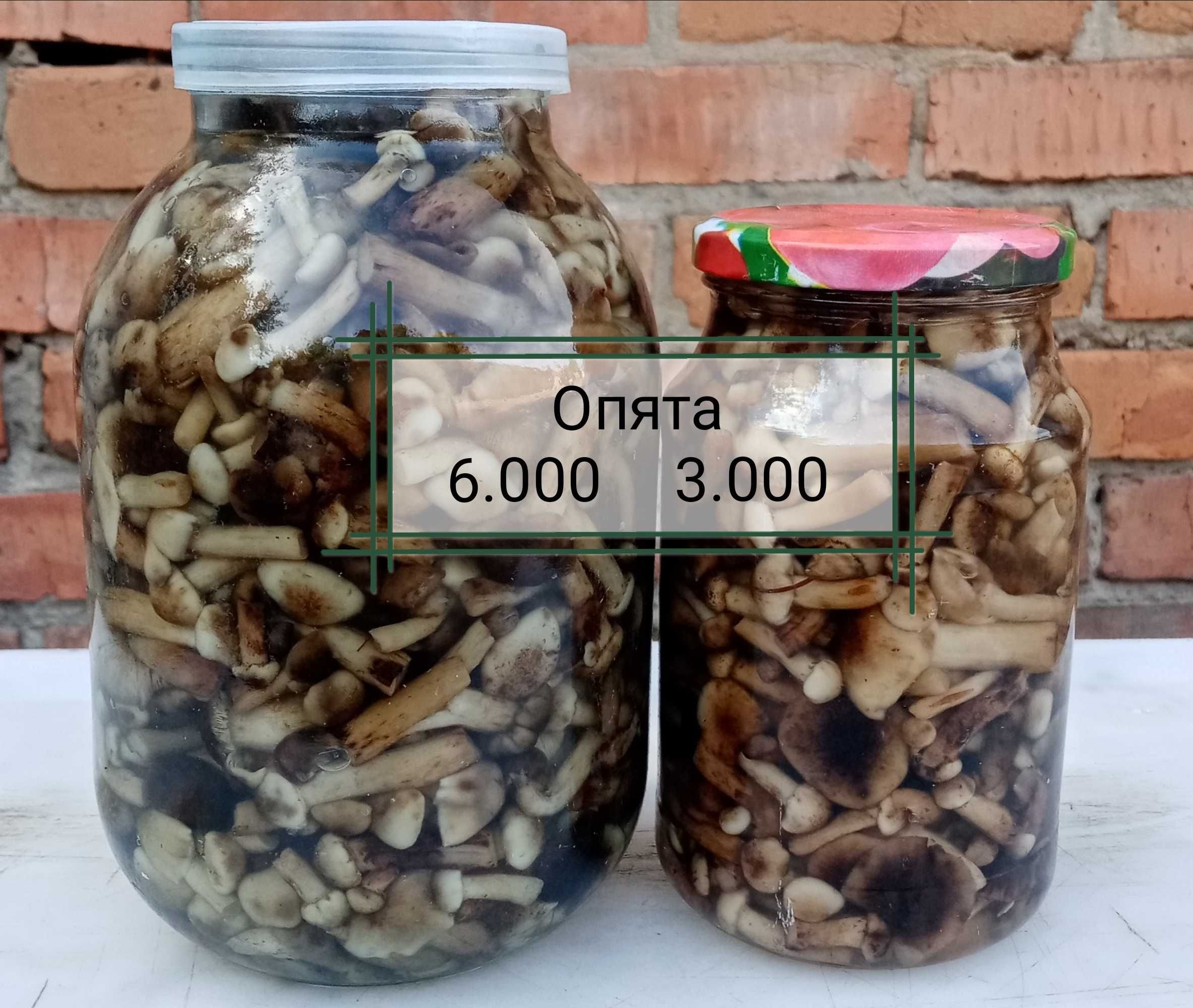 На Пристани солёные деревенские грибы: опята, валуи, грузди