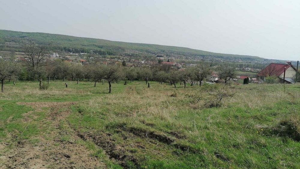Teren intravilan - Comuna Stâlpeni jud.Arges 5000 mp