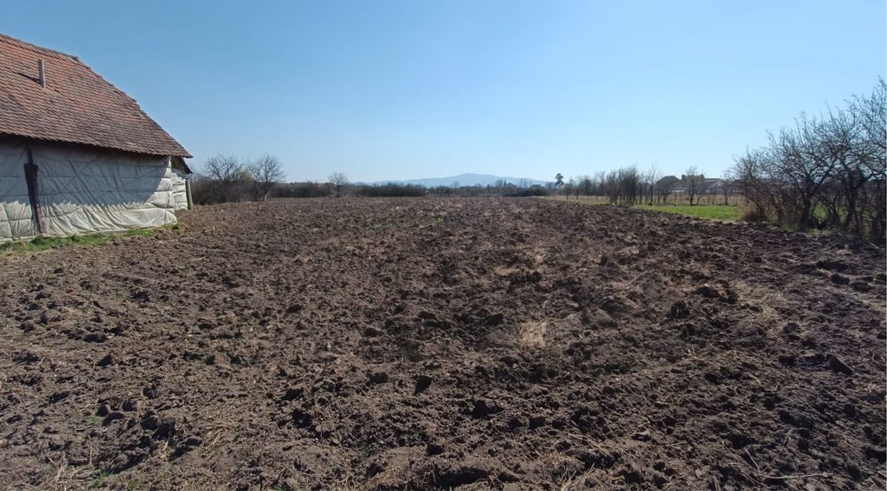 Vand teren intravilan cu casă. 6150mp