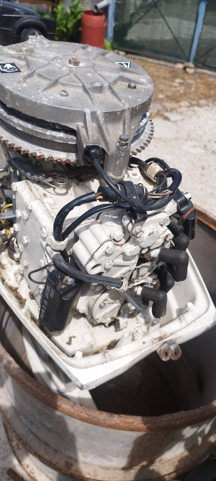Vand motor Johnson 25 cai