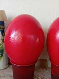 Vand oua de struț pentru decorațiuni nu sunt gaurite