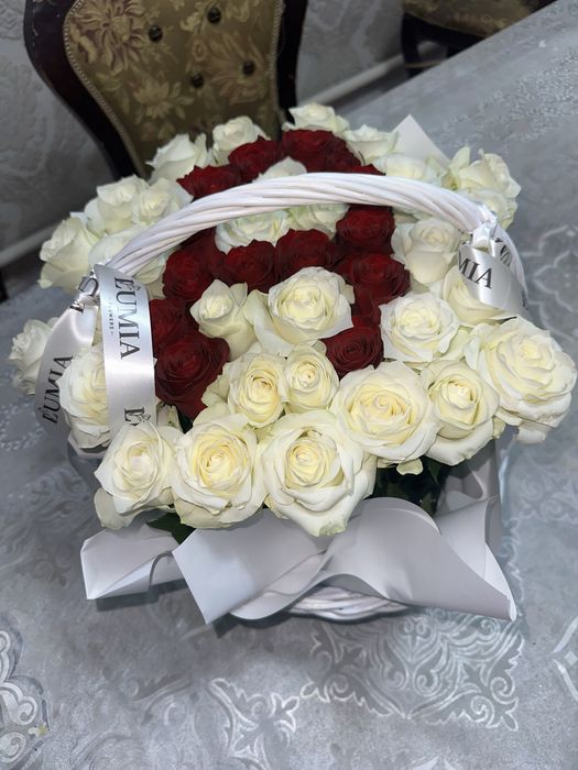 Казир келди кыздар Тараз