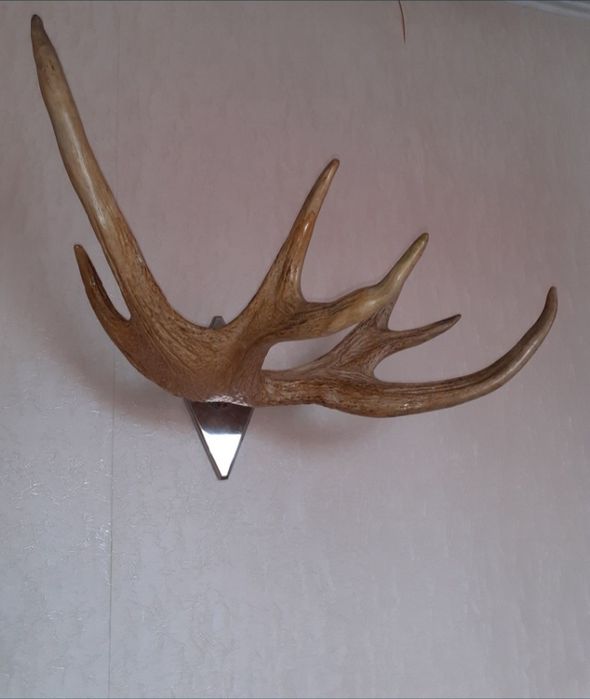 Сувенир настенный .