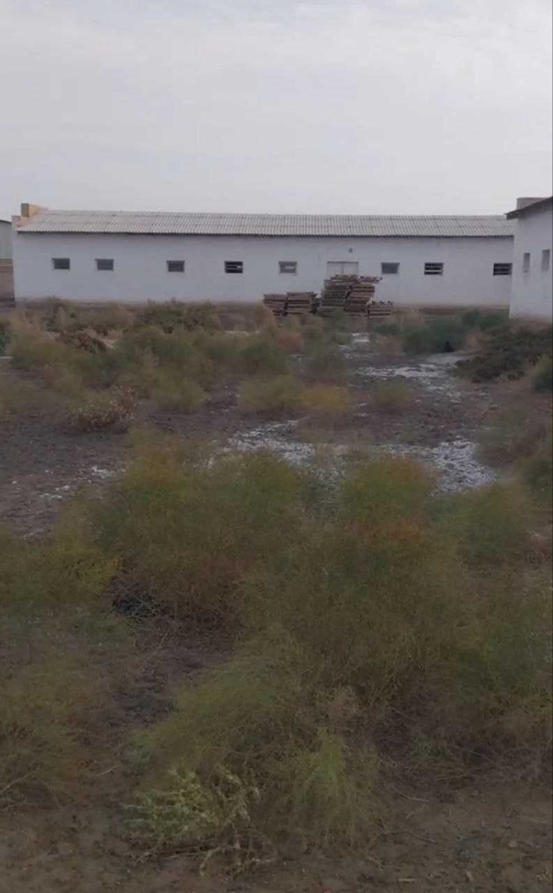 Nukus tumanida Molxona va Tovuqxona binosi sotildi