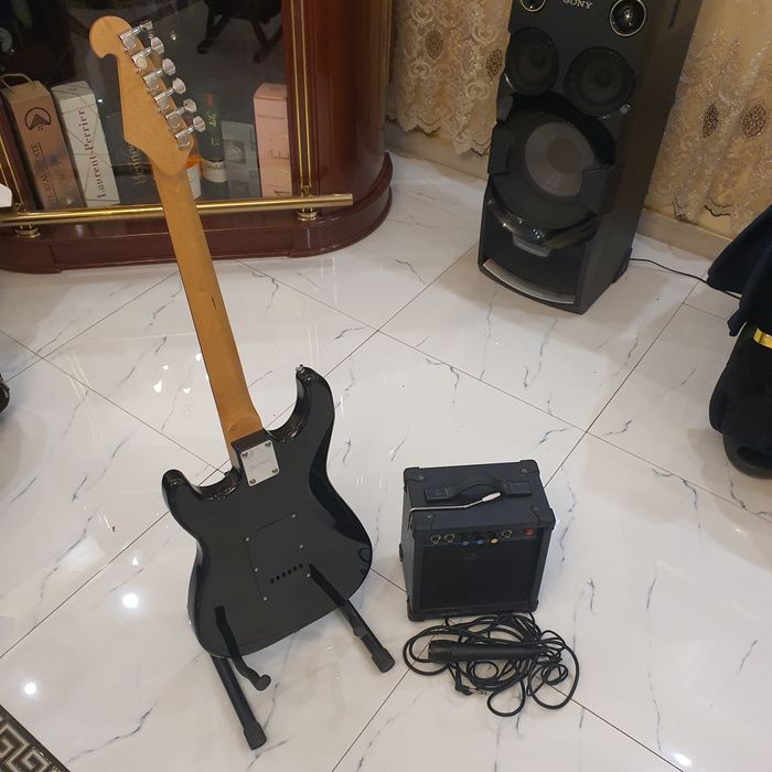 Chitara neagra lucioasa