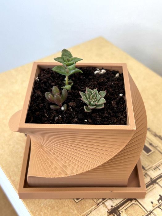 Kit ghiveci printat 3D cu suculente - set de plantat