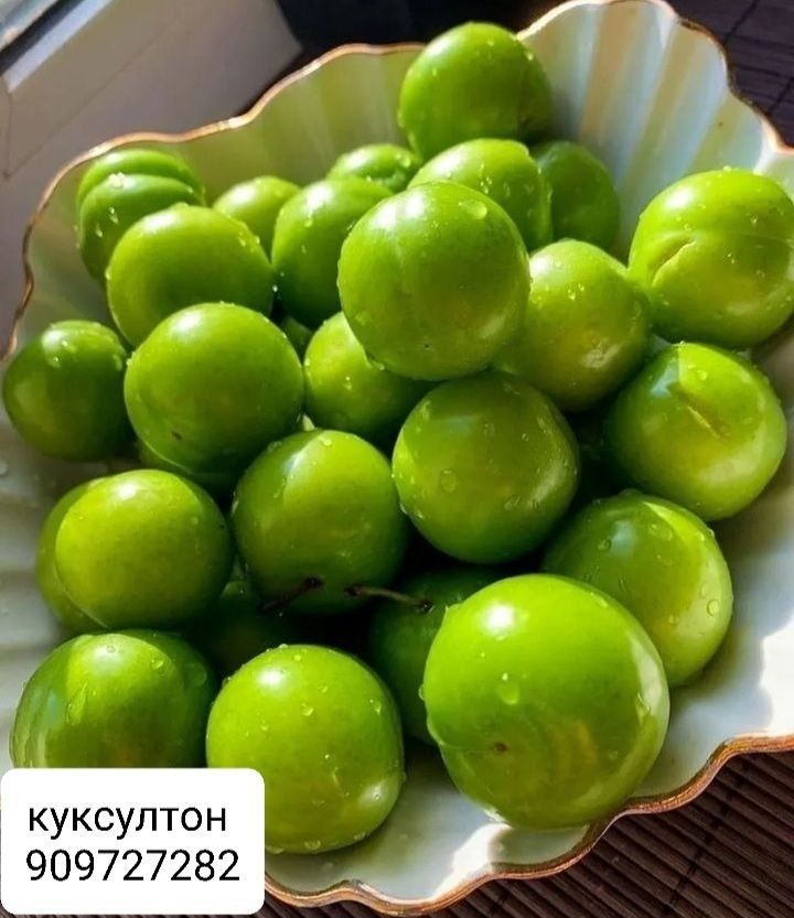 Куксултон ва довча 100 гр 80 минг