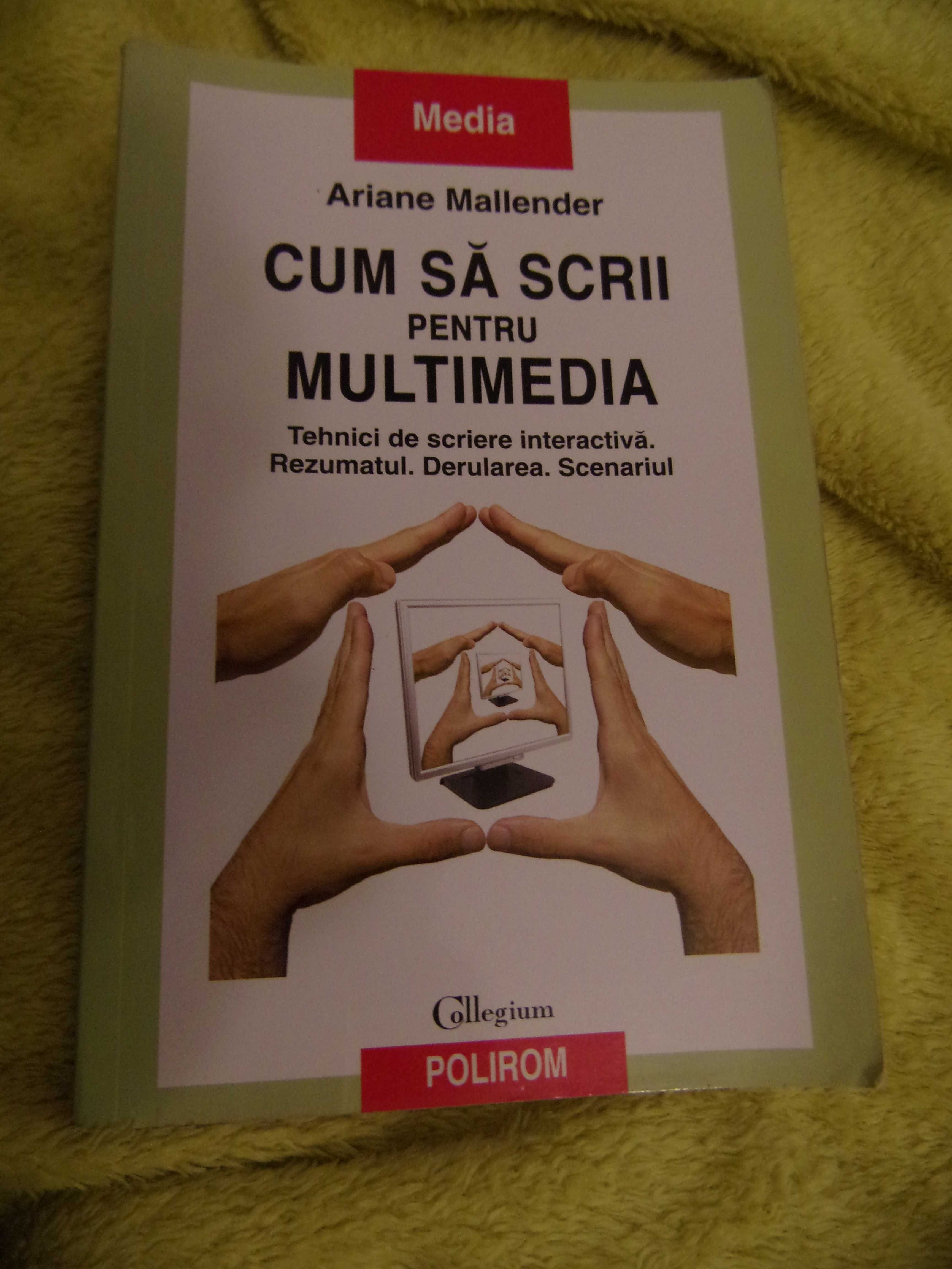 Ariane Mallender - Cum sa scrii pentru multimedia