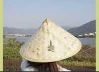 китайский шляпа, арзан багада Шымкент
