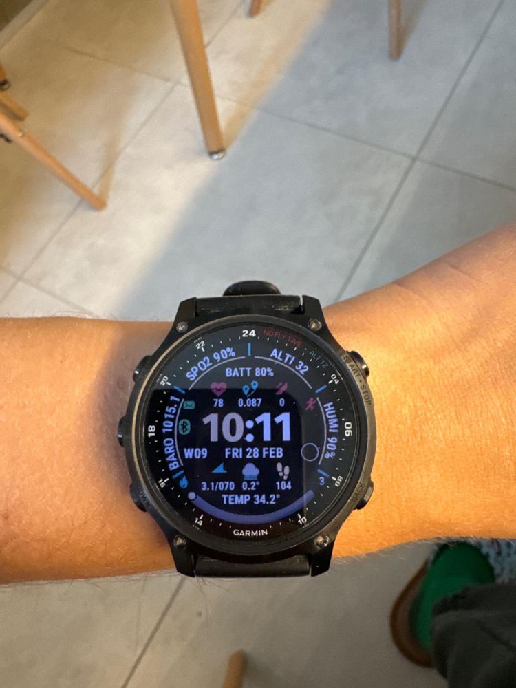 GARMIN descent MK2s