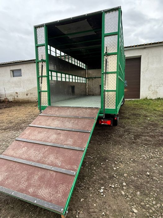 Iveco Daily Transport animale vii