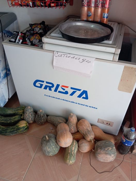 Маразелник идиал холатда