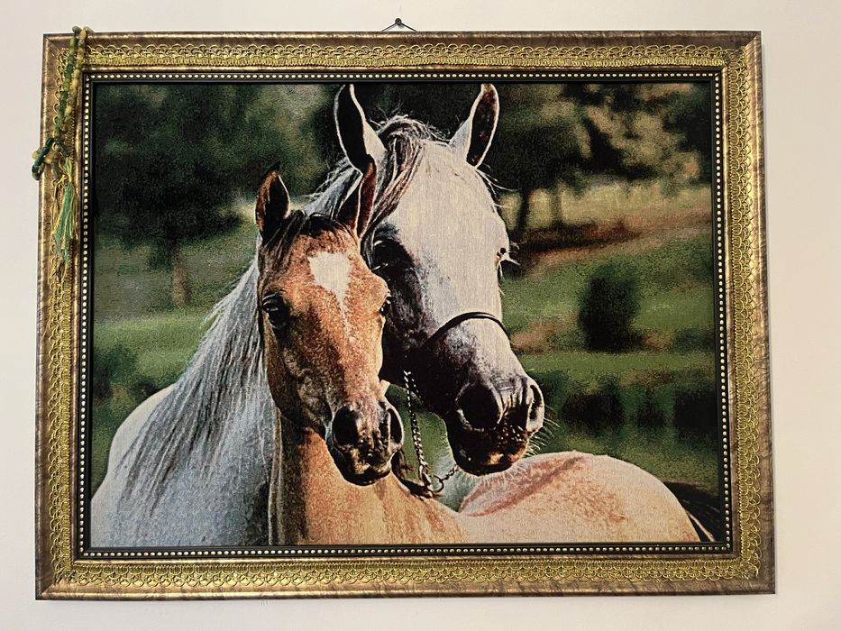 Продам картину с рамкой