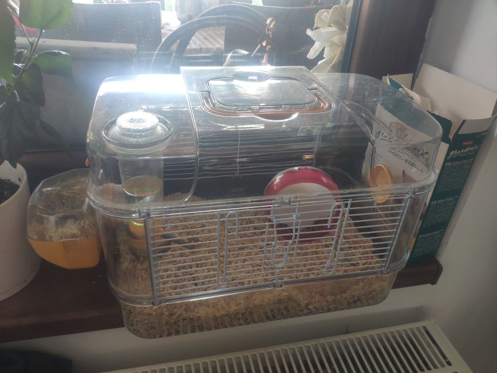Cusca hamster Moderna Transparenta