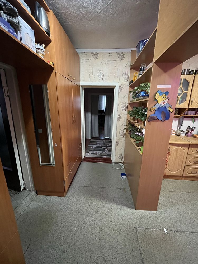 Продаётся дом в с. Еркин