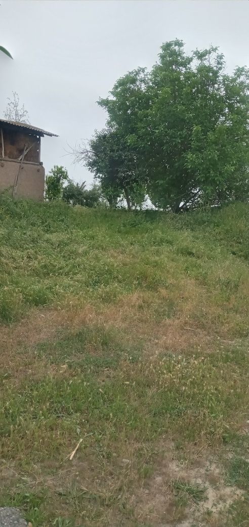 Uy yer sotiladi 23 sotxli
