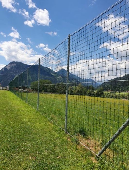 Construim garduri si porti