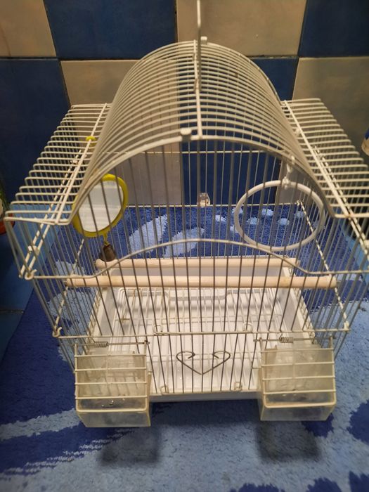 Colivie canari  sau alte padari