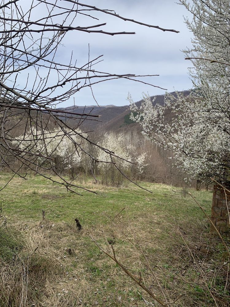 Парцел с.Падеж