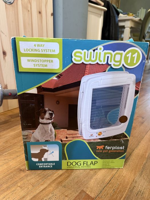 Usita catel dimensiuni medii