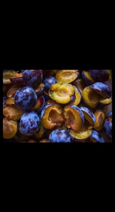 Prune de vânzare "țuică"