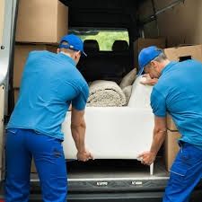 Defrișări, Debarasări, Văruit Apartamente | Prețuri Accesibile