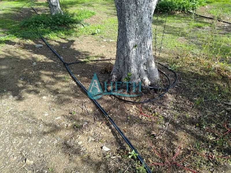 Парцел 2500м2+119маслинови дървета Волви Аспровалта Гърция, полив.с-ма