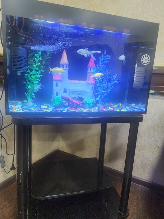 80 литр аквариум сотилади.