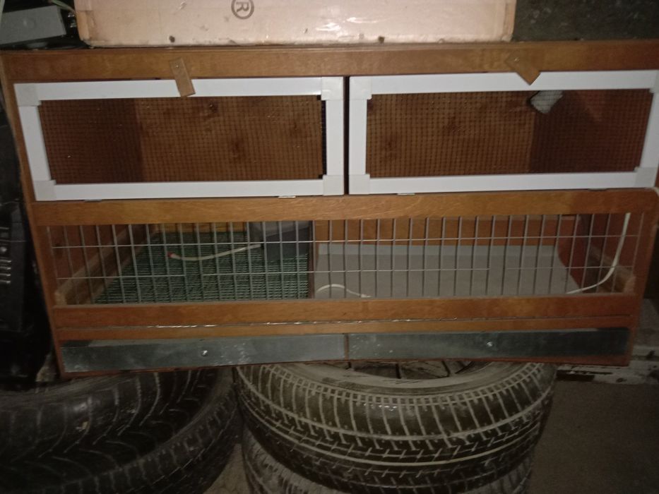 Брудер для цыплят