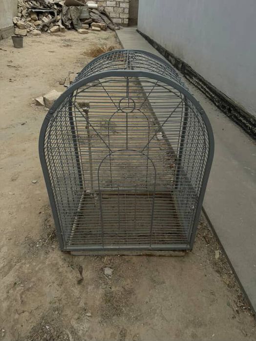 Клетка большой.