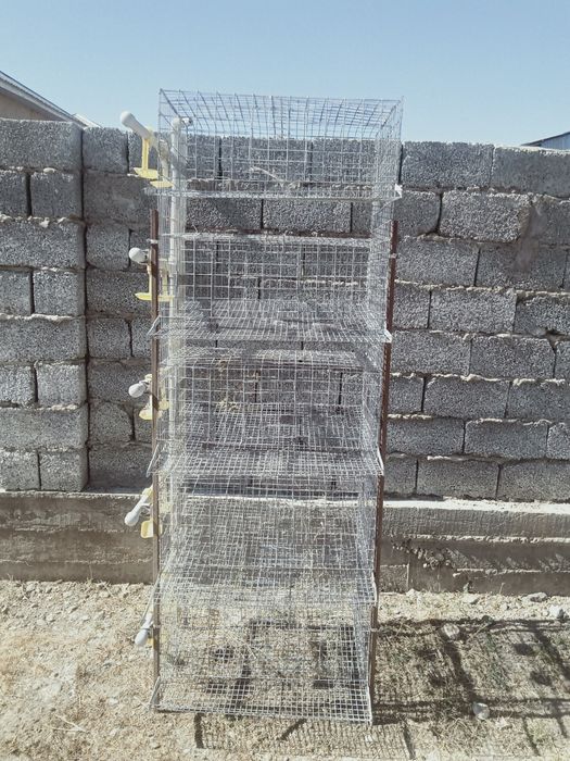 Сетка для перепелов