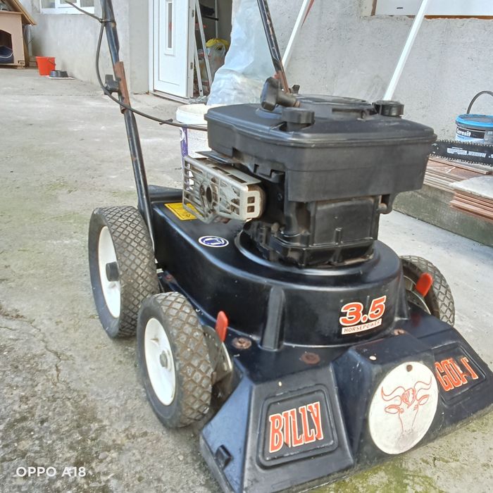 Aspirator pentru curte