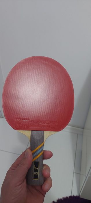 Paleta tenis de masa=Dhs Hurricane 8 + Donic Bluestorm Pro