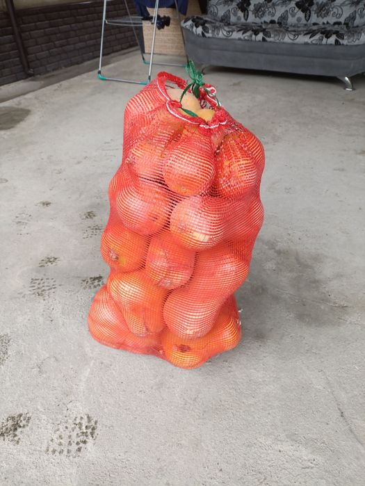 Тыква  Аскабак  сатылады