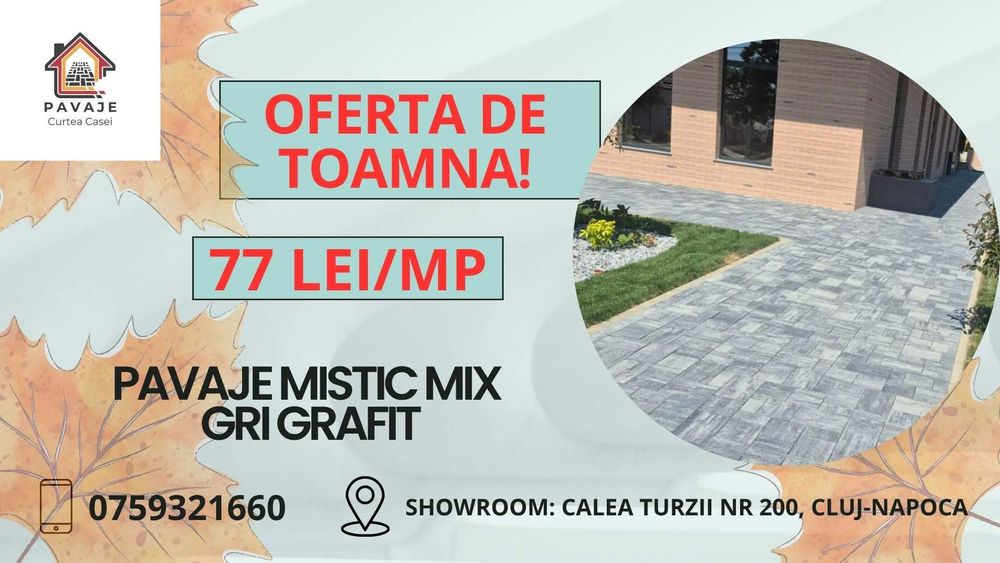 Promotie Pavaje Premium!