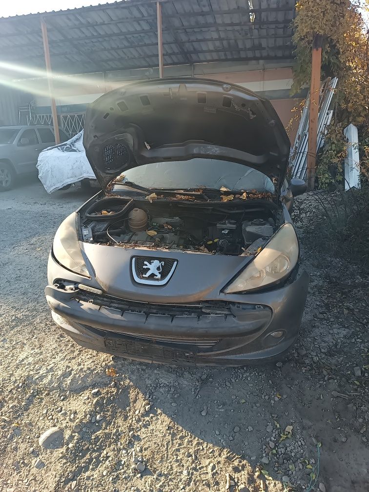 Peugeot 206 plus